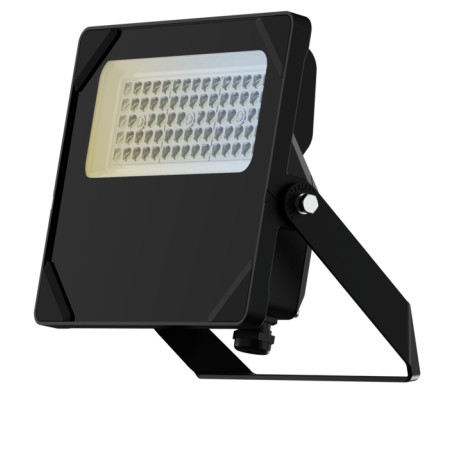 PROXI CWS - FL165437