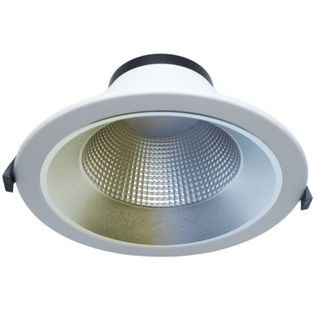 RENOVA CWS - DL166632