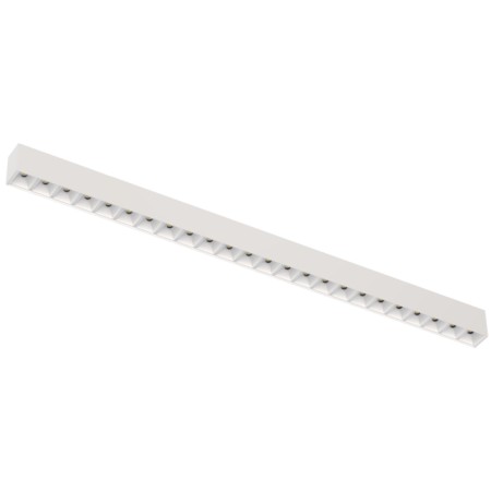 LINORA CS - CL163808